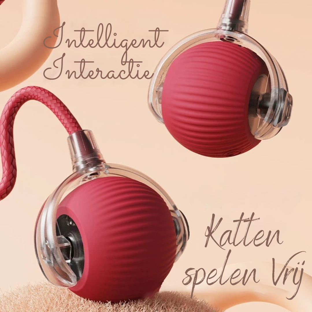 Cardio kat (1+1 Gratis!)