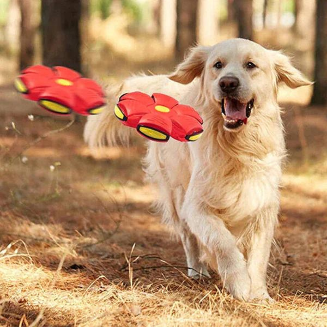 Luxbie Honden DiscBall