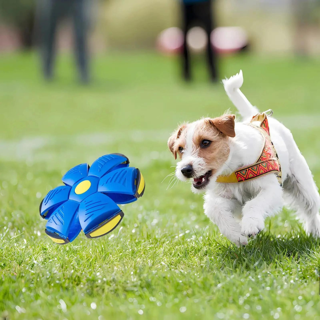 Luxbie Honden DiscBall