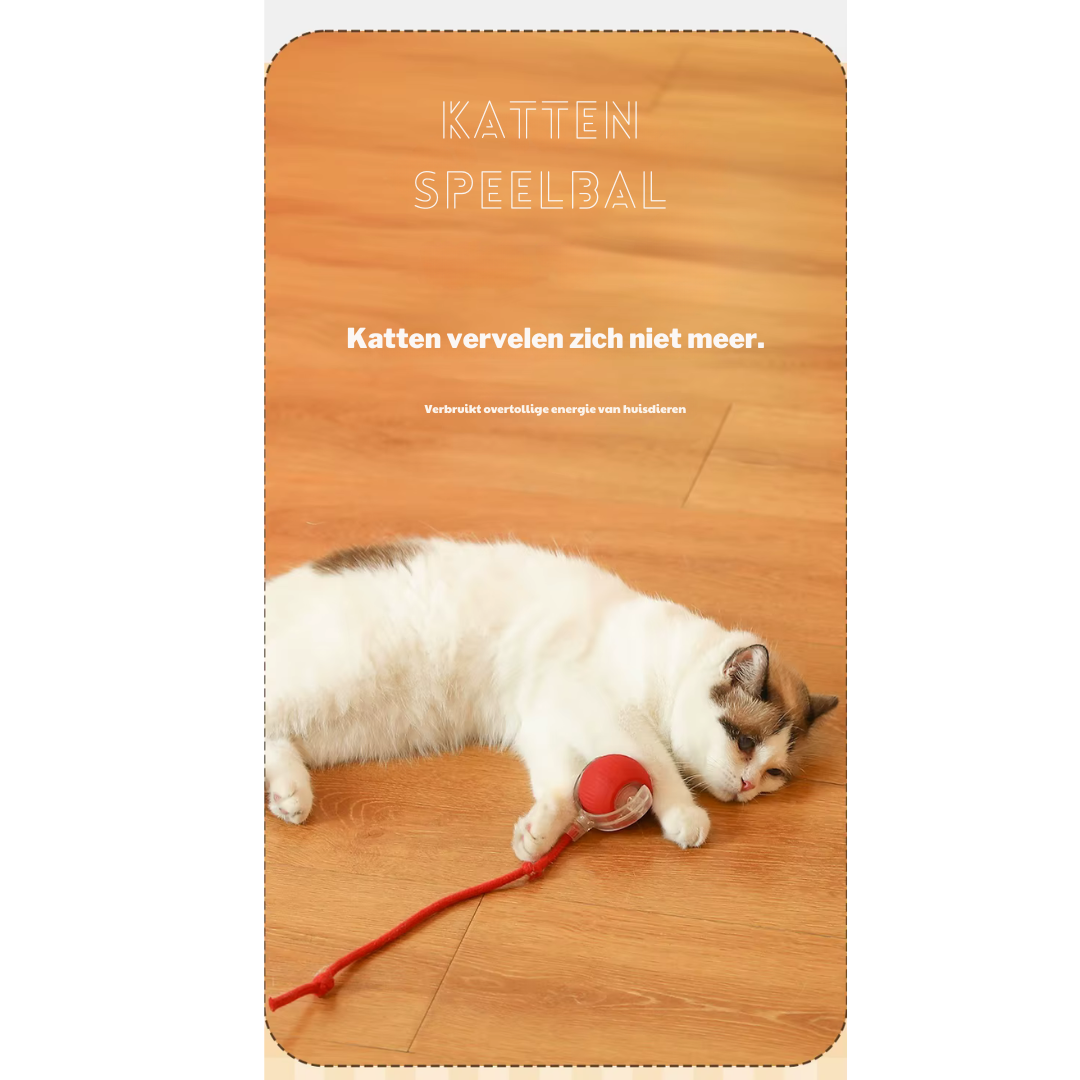 Cardio kat (1+1 Gratis!)