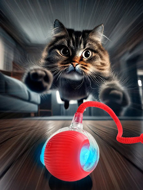 Cardio kat  (1+1 Gratis!)