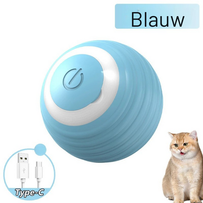 Cardio kat  (1+1 Gratis!)