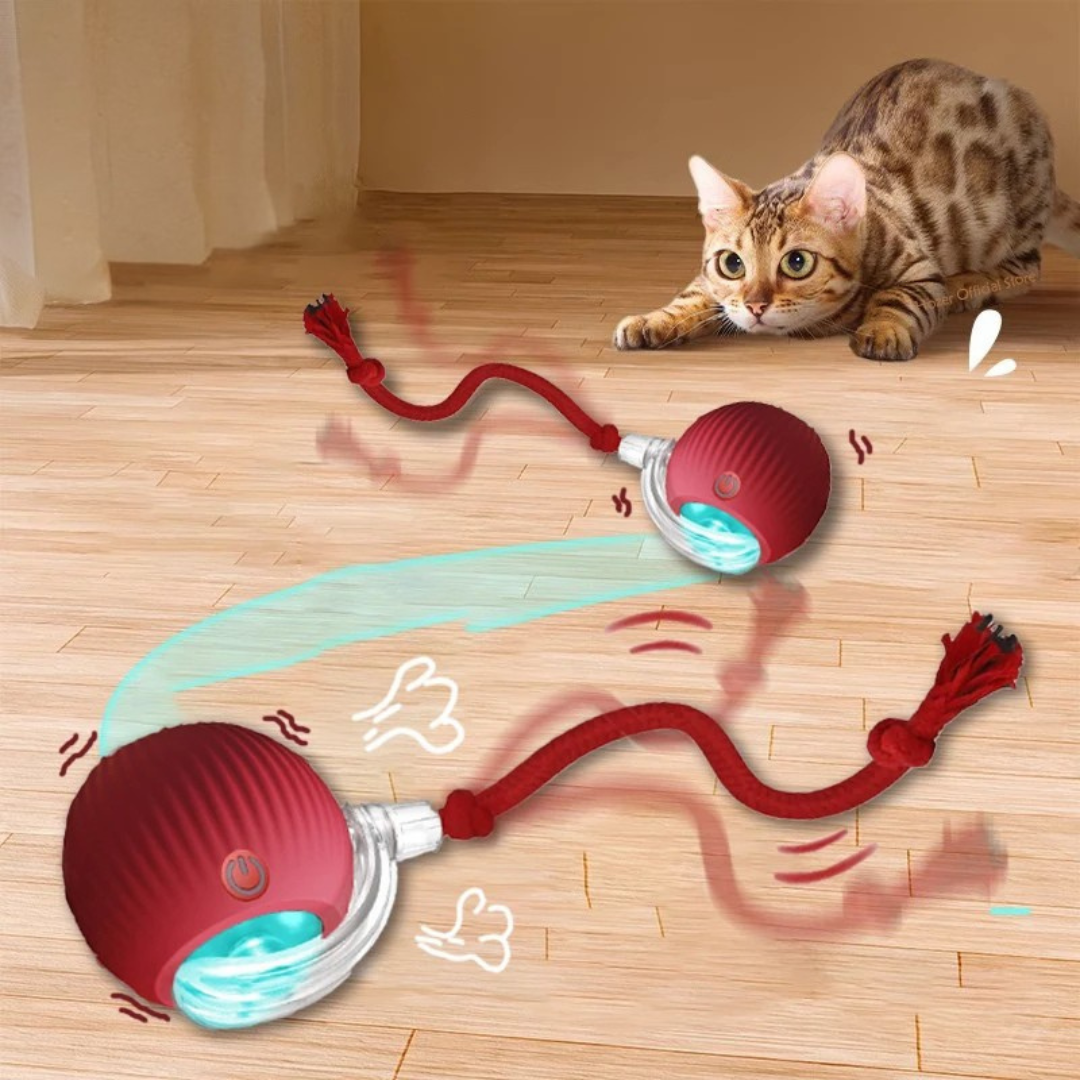 Cardio kat  (1+1 Gratis!)