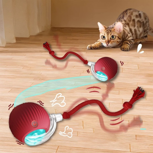 Cardio kat  (1+1 Gratis!)