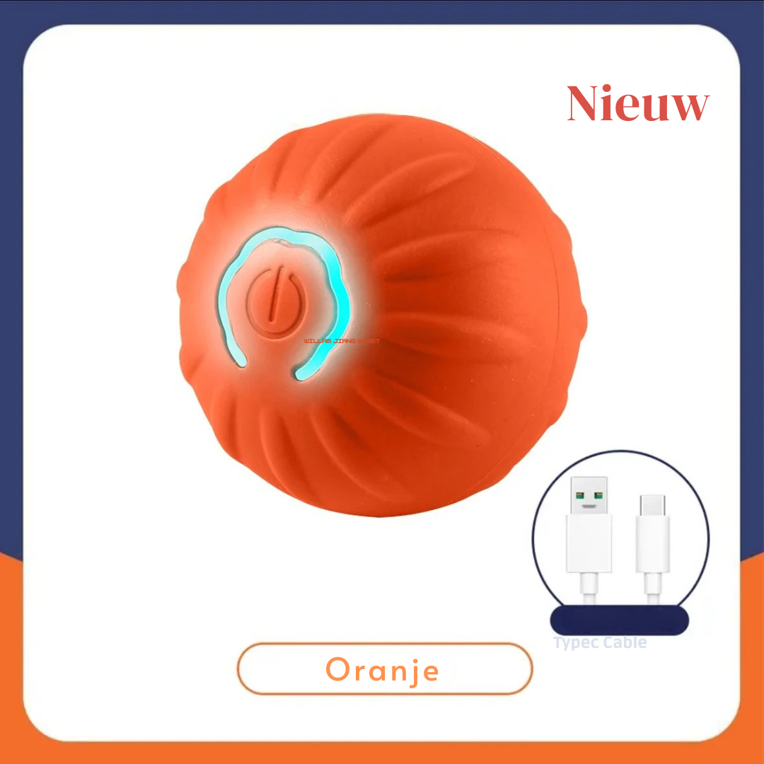 BrainBurst Roller™ interactieve bal