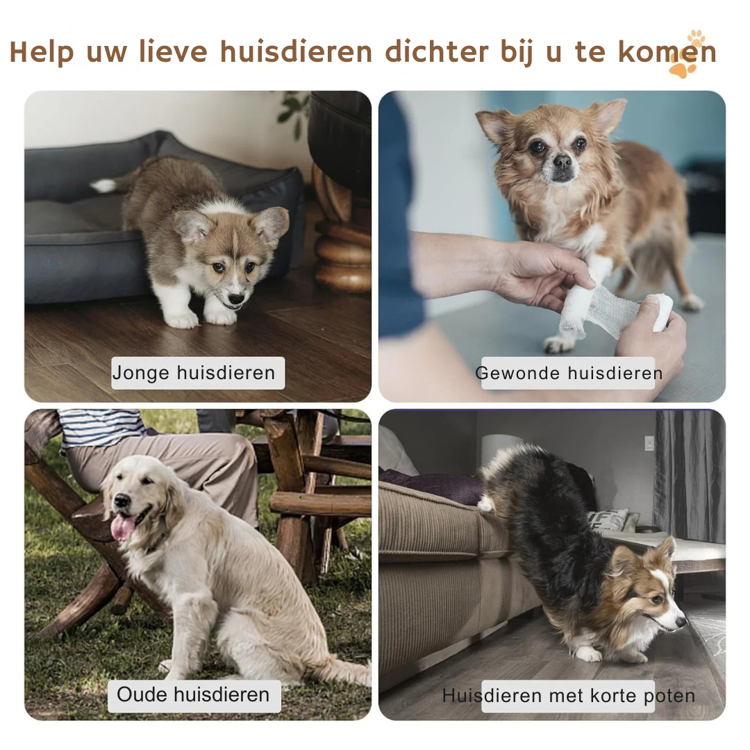 Antislip huisdiertrap voor honden en katten