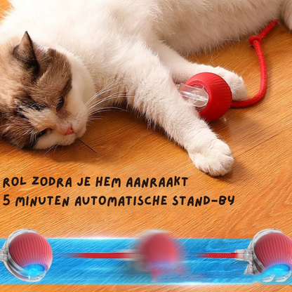 Cardio kat  (1+1 Gratis!)