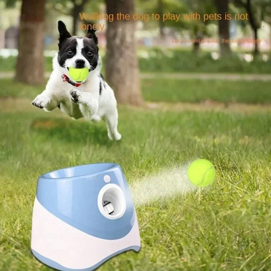 Automatische Hondenbal werper