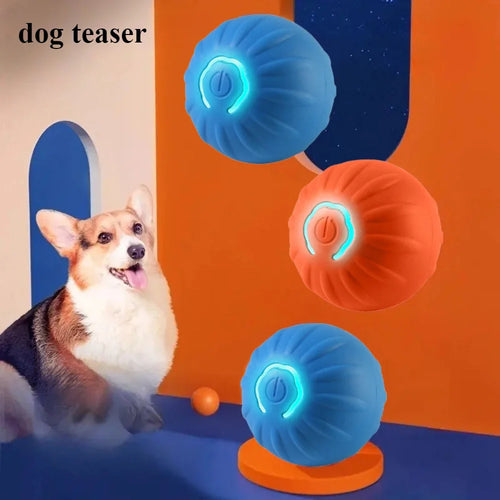 BrainBurst Roller™ interactieve bal