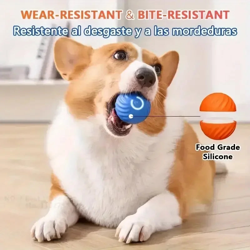 BrainBurst Roller™ interactieve bal