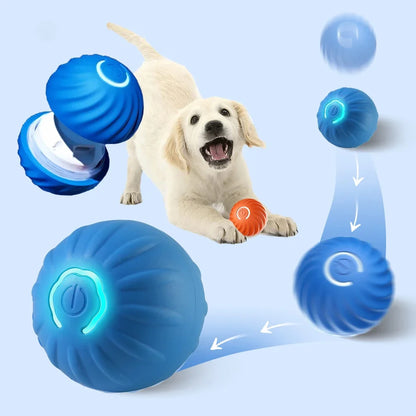 BrainBurst Roller™ interactieve bal