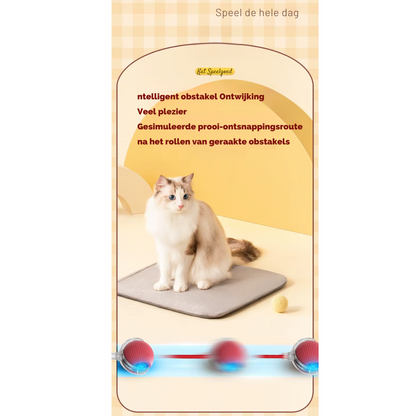 Cardio kat  (1+1 Gratis!)