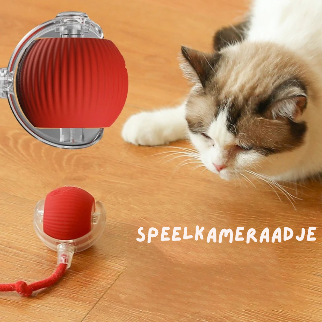 Cardio kat  (1+1 Gratis!)