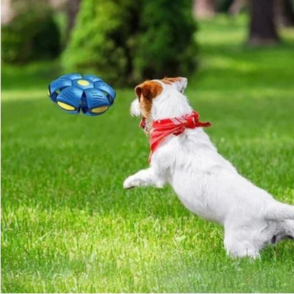 Luxbie Honden DiscBall