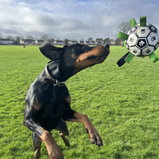 Ultieme hondenbal