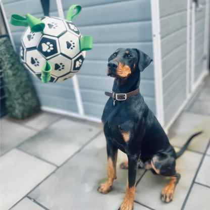 Ultieme hondenbal