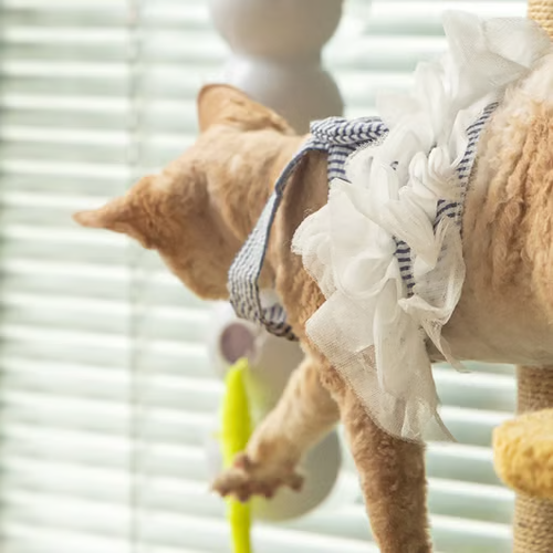 🐛✨Interactieve elektrisch rups kattenspeelgoed😻